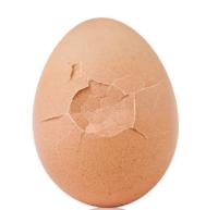 egg-grader project thumbnail