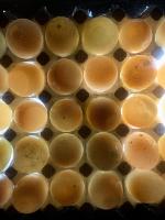 Duck Egg External and Internal project thumbnail