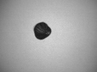 Image Detection project thumbnail