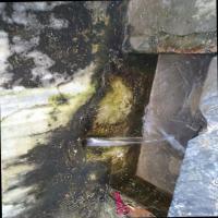 pipe leak Object Detection Model by new-workspace-0bgj4