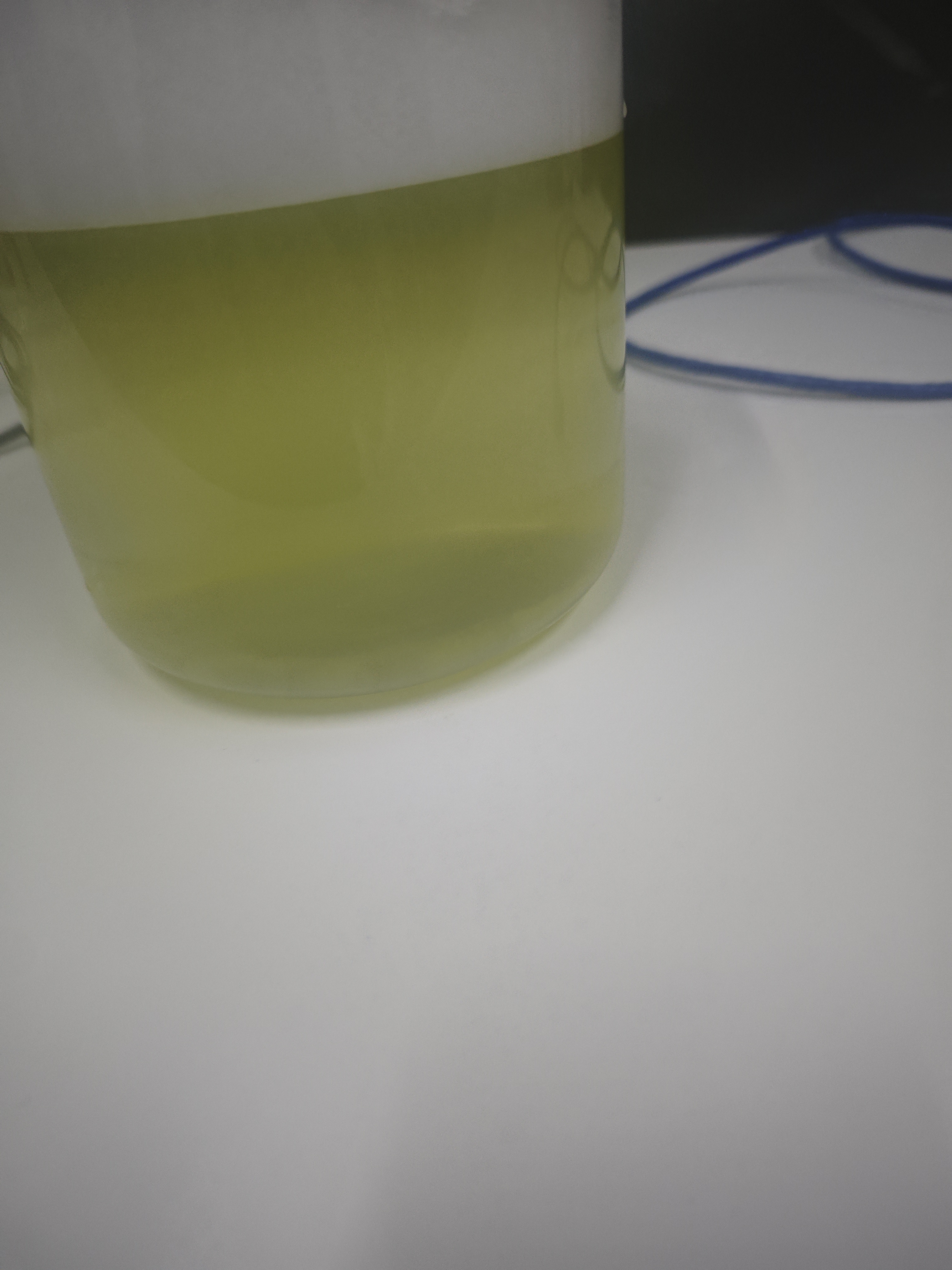 foam Instance Segmentation Model (v1, 2025-12-12 9:54am) by new ...