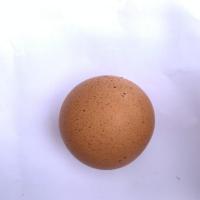 Telur Detection project thumbnail