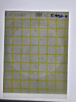 Petrifilm_Detection project thumbnail