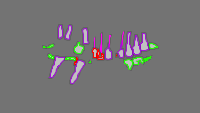 Annotation Visualization