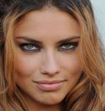 dog cat classification - Roboflow Universe