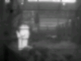 thermal Object Detection Dataset by school