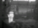 thermal project thumbnail