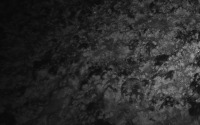 mycosense 3 project thumbnail