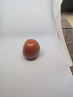 tomato_defect_detection project thumbnail