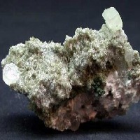 Dataset Image
