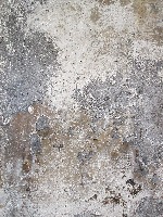 scaling_seg project thumbnail