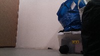 mdpgrp19-data project thumbnail