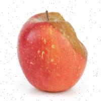 apple_project project thumbnail