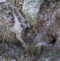 crop project thumbnail