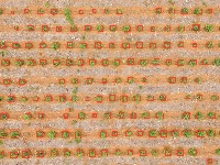 Heterogeneidade project thumbnail