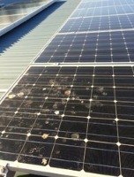 Solar Panel Defect Detection project thumbnail