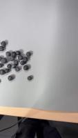blueberry-yolo-lab project thumbnail