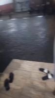 Flood Detection project thumbnail