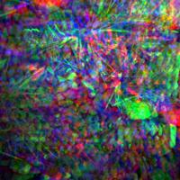 Storkow_Sping_2026_Scenario_3 project thumbnail
