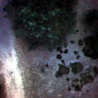 Storkow_Spring_2026_Scenario_1 project thumbnail