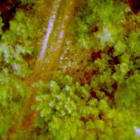 Storkow_Fall_2025_Scenario_2 project thumbnail