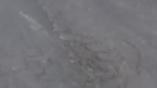 yolo_v11_crack_detection project thumbnail