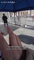 blind_aid_yolov8n project thumbnail