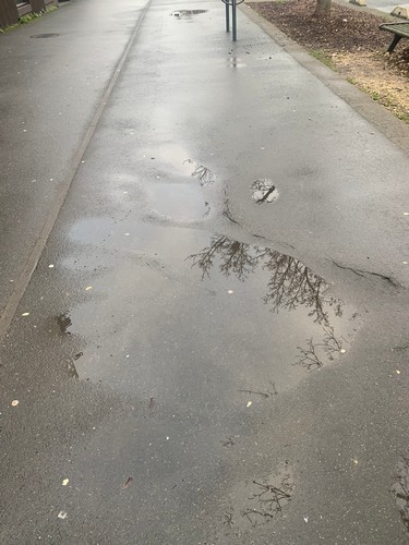 Flaques D Eau V2 Object Detection Model By Flaques