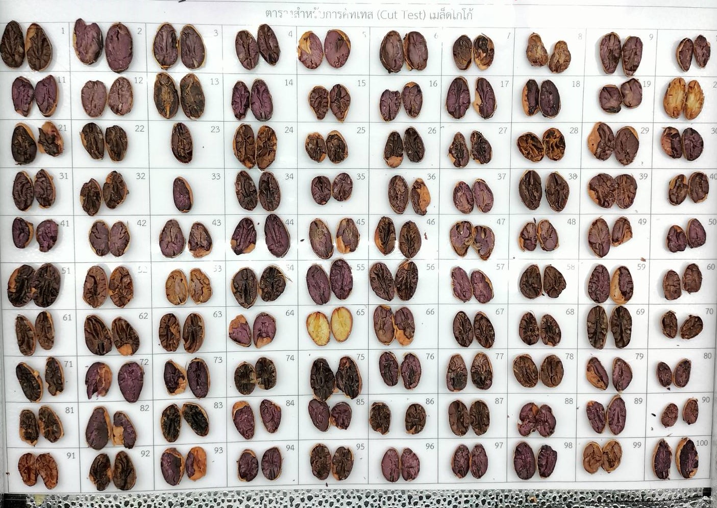 cocoa annotation - Roboflow Universe