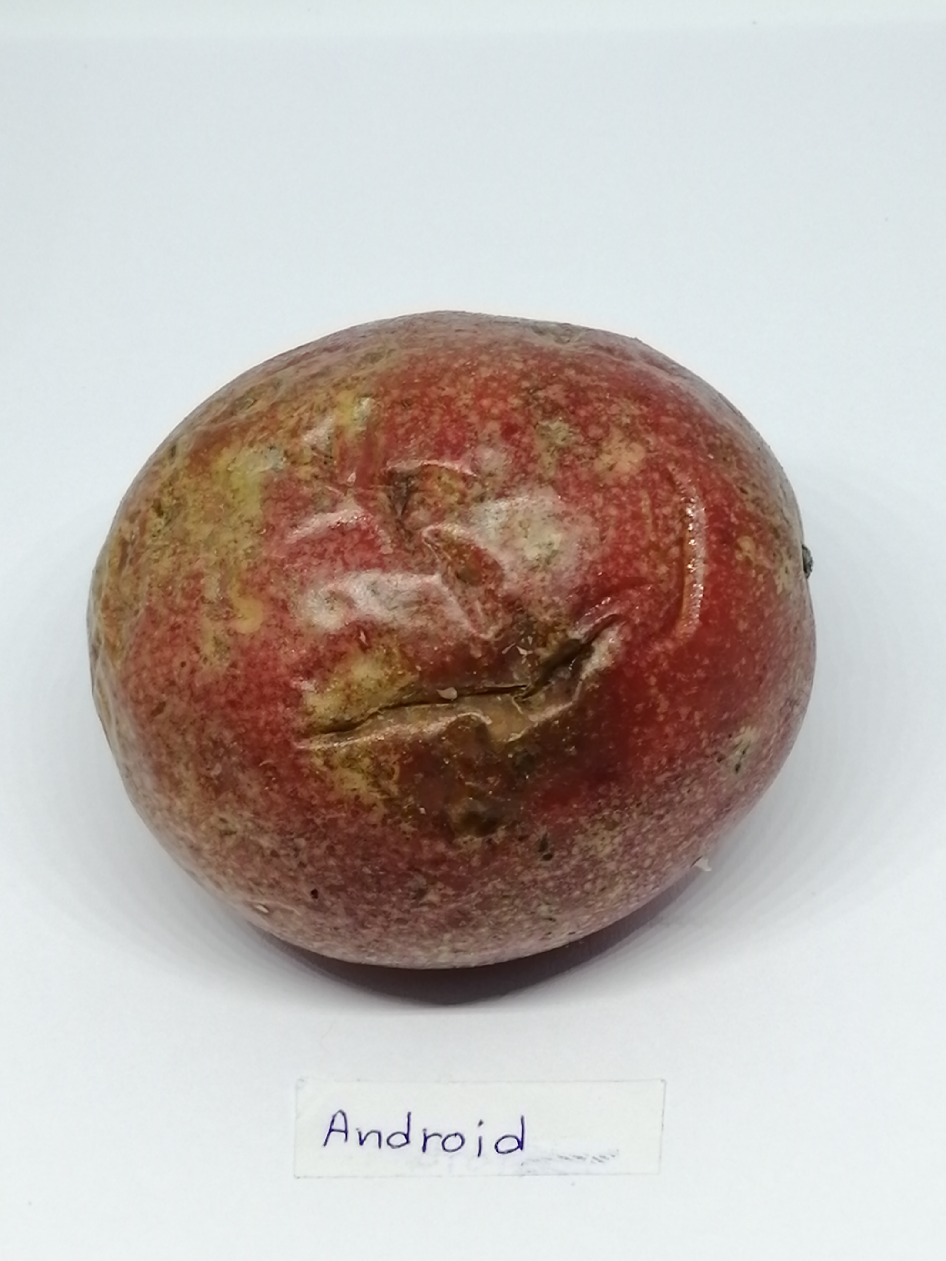 Passion fruit classification Classification Dataset by Passion fruit ...