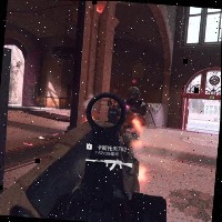 Dataset Image