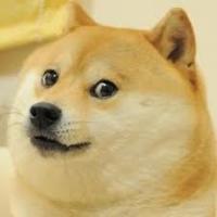 dog project thumbnail