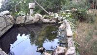video_test project thumbnail