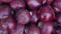 Onion_detection project thumbnail