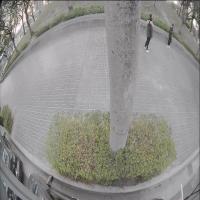 person detection  project thumbnail
