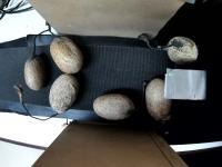 Cocoon Detection project thumbnail