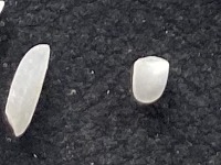 Rice Grain Detection project thumbnail