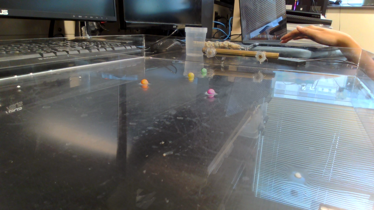 plastic Object Detection Dataset by Lian