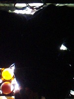 Egg Classification project thumbnail
