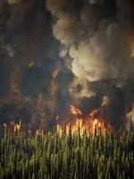 disaster_detector project thumbnail