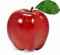 Fruit foot project thumbnail