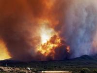 Forest Fire and Smoke Detection project thumbnail