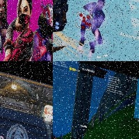 Dataset Image