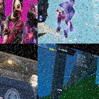Dataset Image