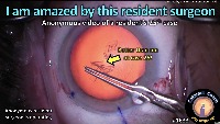 K_CC_1633_amazed by resident project thumbnail