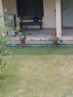 Object vs Plants project thumbnail