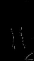 All resistor project thumbnail