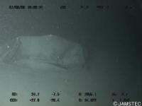 Underwatter detection project thumbnail