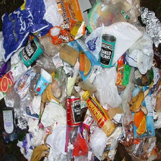 GarbageDetectionAPI Object Detection Model by college
