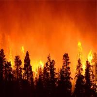 DATASET FIRE project thumbnail